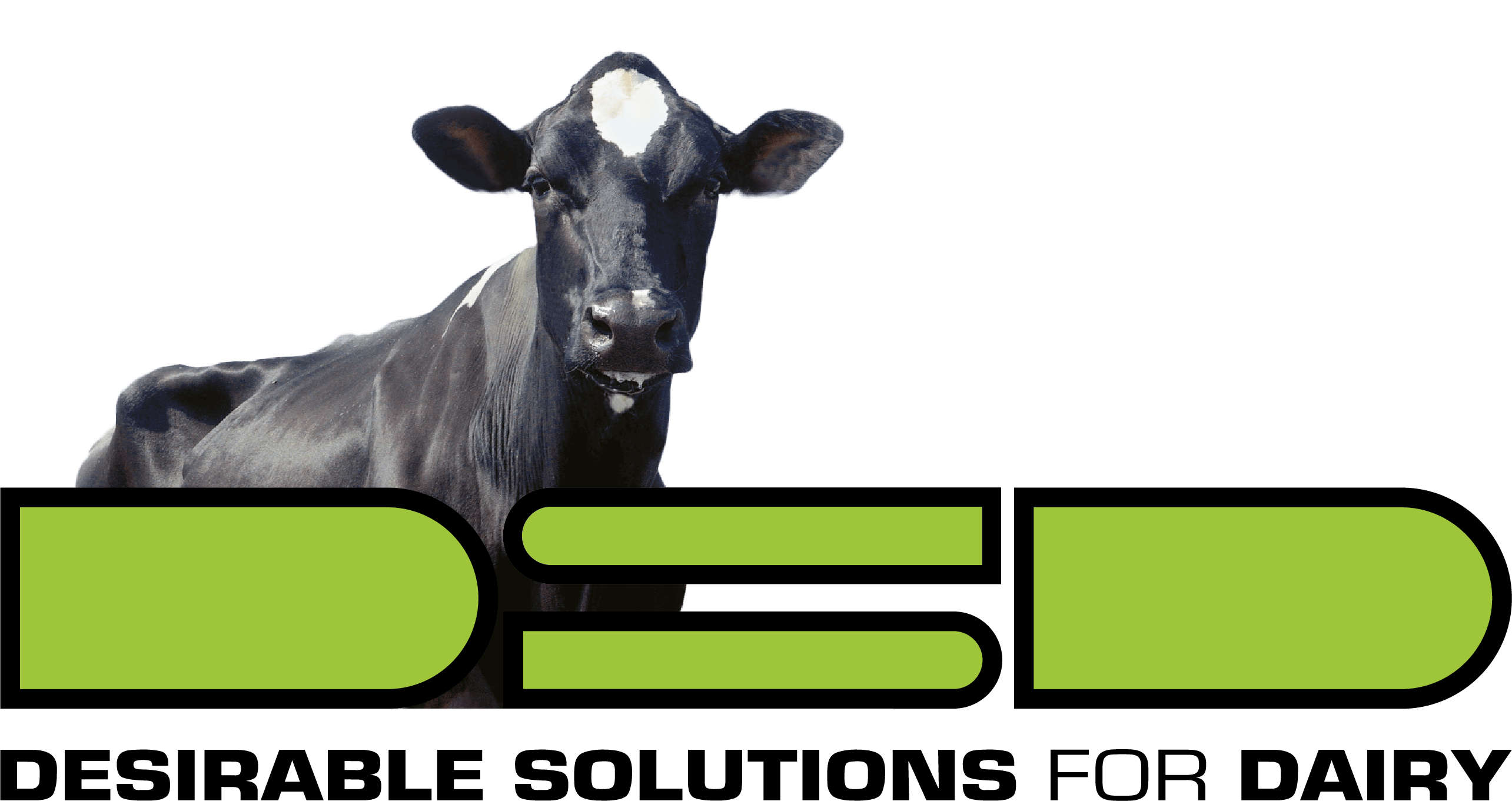 Logo DSD