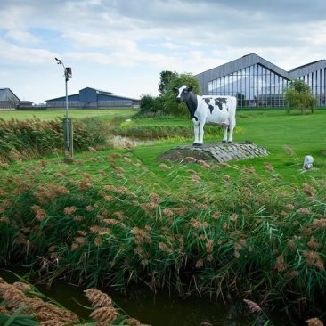 Foto van Dairy Campus