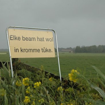 Bord met de tekst 'Elke beam hat wol in kromme tûke.'