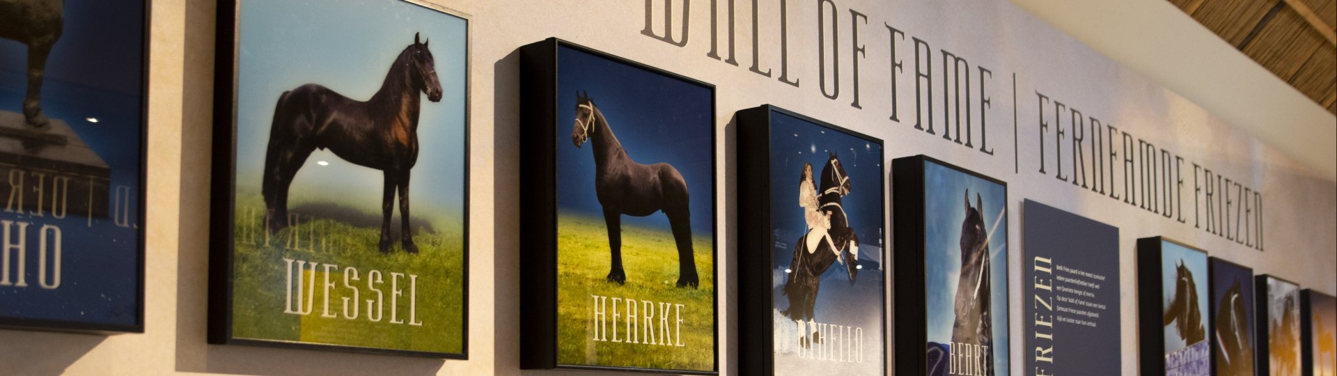 Wall of fame met beroemde Friese paarden