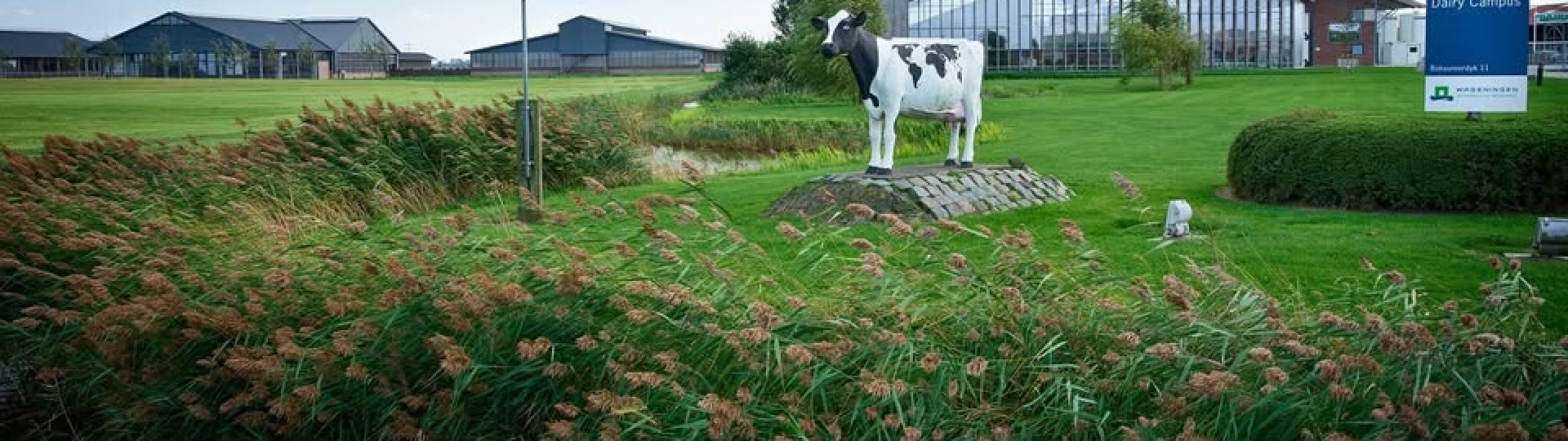 Foto van Dairy Campus