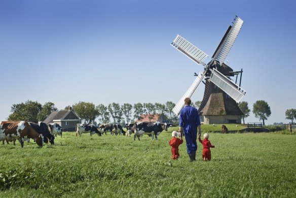 Persoon met kinderen in overall lopen in een weiland met koeien en een molen
